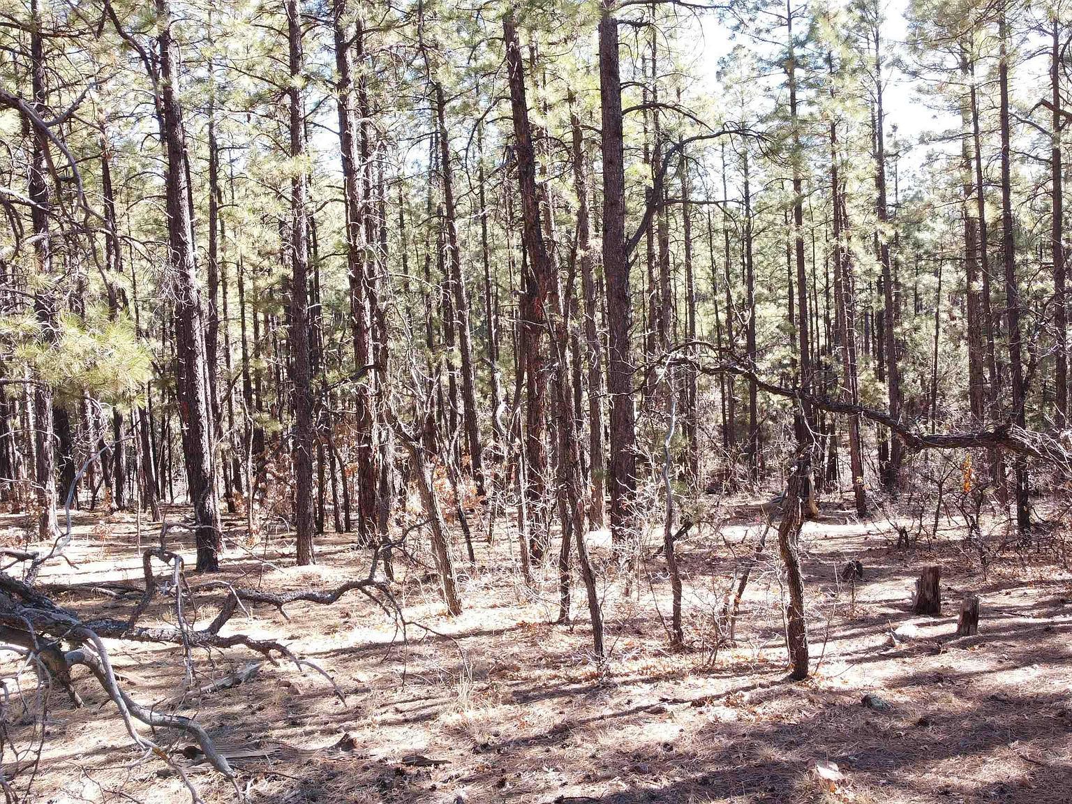 LOT-34C McGaffey Pnes Fort Wingate, NM 87316 - Thumbnail 5