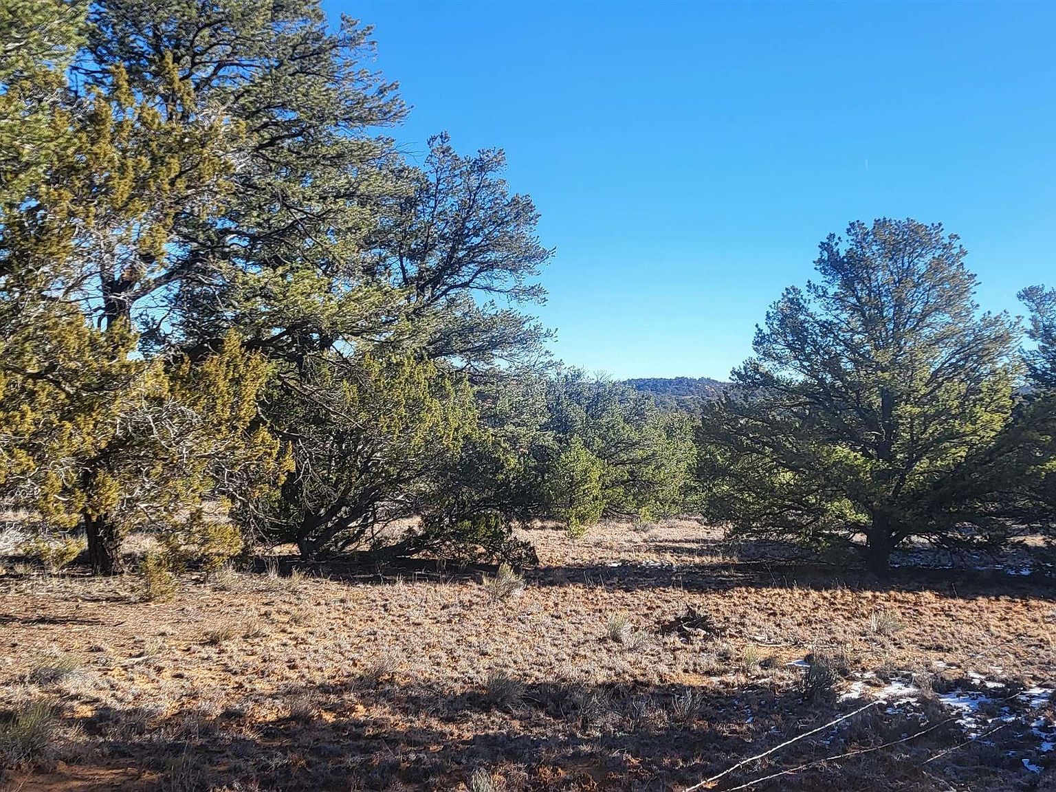 Arrowhead Rd Pinehill, NM 87357 - Thumbnail 5