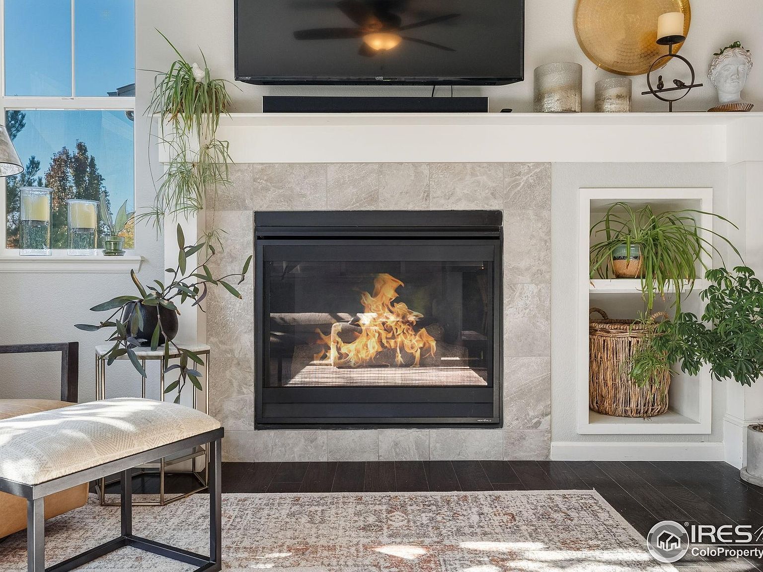 1211 Peony Way Fort Collins, CO 80525 - Thumbnail 5