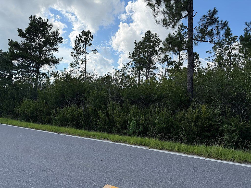 LOT 5 Borders Rd Wewahitchka, FL 32465 - Thumbnail 5