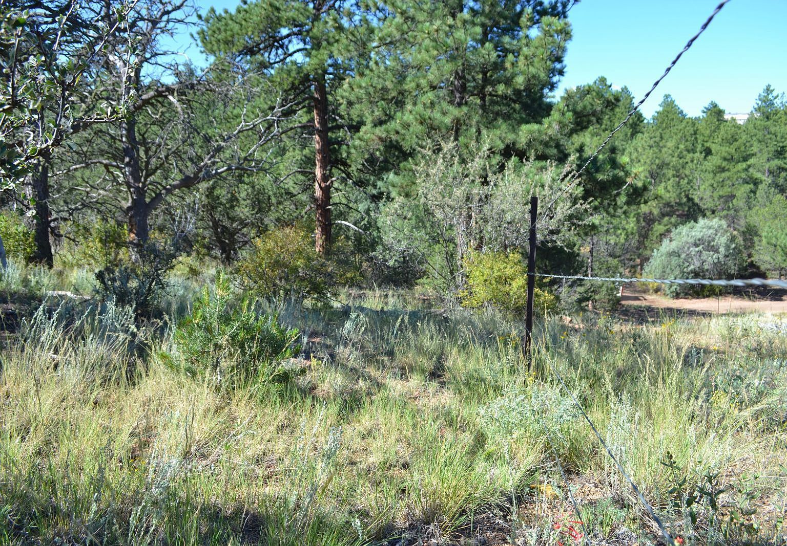 267 Texas Creek Ln Cotopaxi, CO 81223 - Thumbnail 5