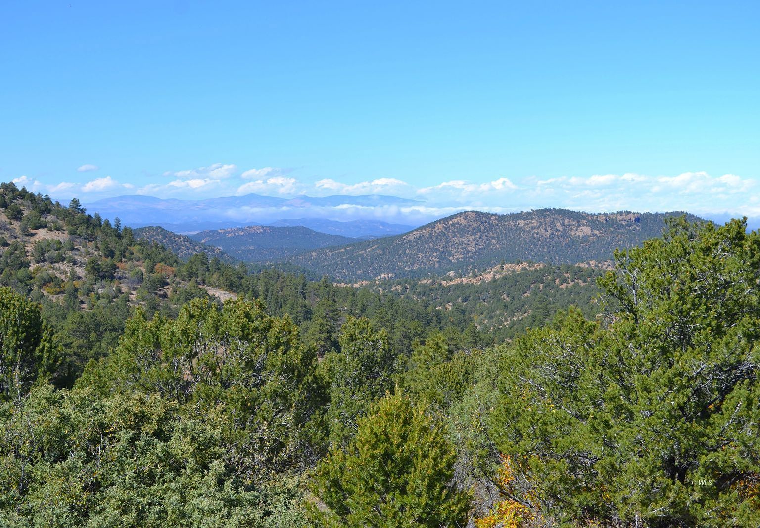 Tbd Shirley Ln, Westcliffe, CO, 81252 - Thumbnail 5