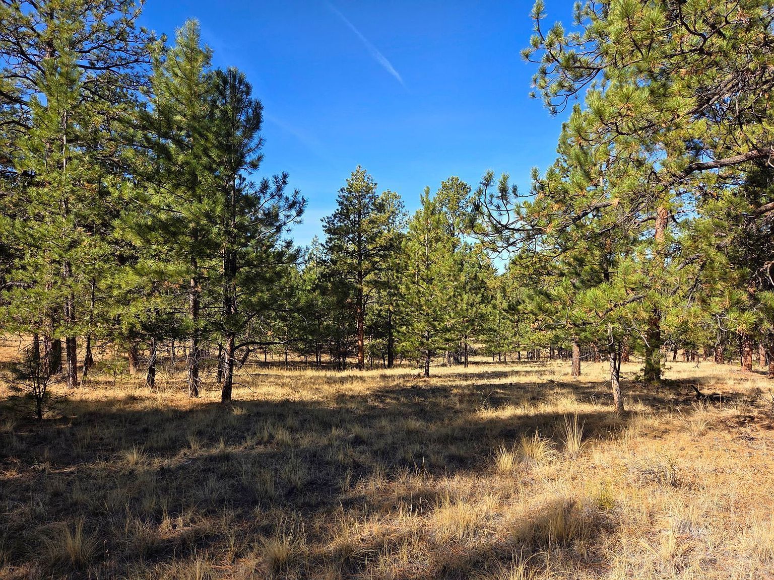 1166 Wykagyl Rd Westcliffe, CO 81252 - Thumbnail 5