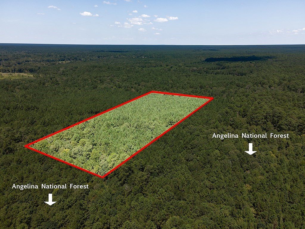 Tract44 Frazier Rd Zavalla, TX 75980 - Thumbnail 5