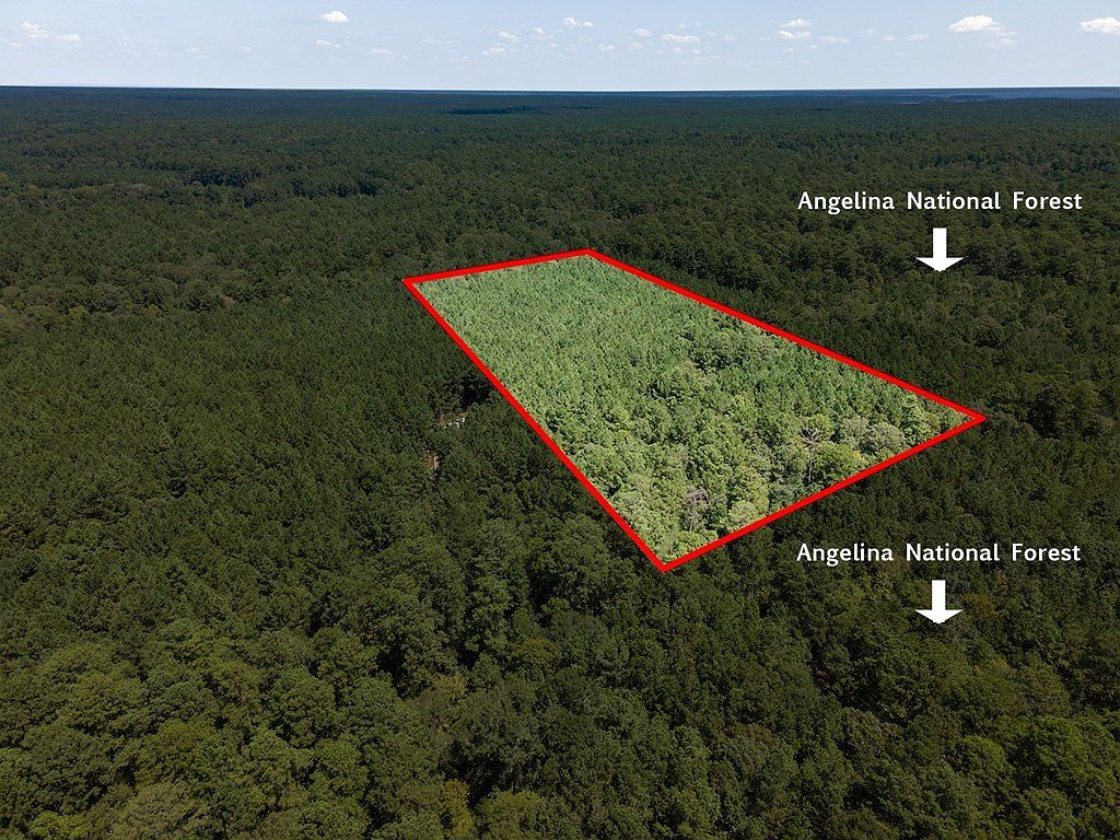 TRACT 4.4 Frazier Rd Zavalla, TX 75980 - Thumbnail 5