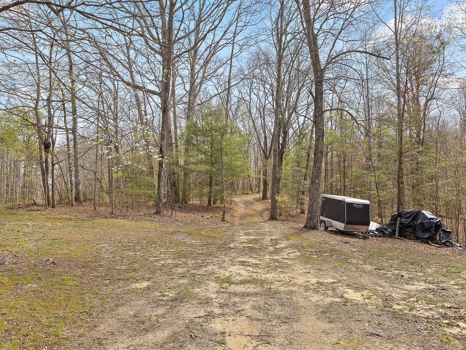 17.65 Blaine Smith Rd Graysville, TN 37338 - Thumbnail 5