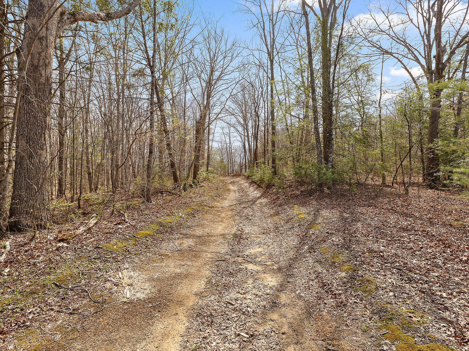 0 Blaine Smith Rd Graysville, TN 37338 - Thumbnail 5