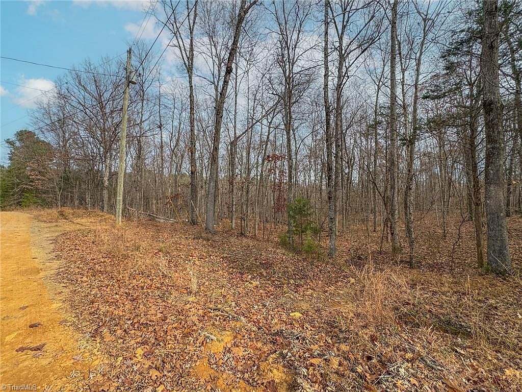 6124 Wild Horse Canyon Rd Snow Camp, NC 27349 - Thumbnail 5