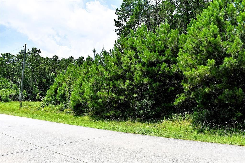 238 County Road 3545 Cleveland, TX 77327 - Thumbnail 5