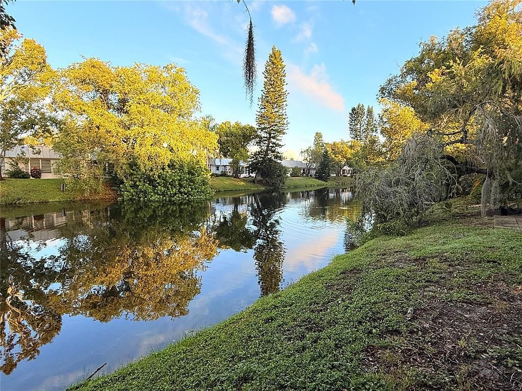 4221 Touchton Pl #4221 New Pt Richey, FL 34652 - Thumbnail 5