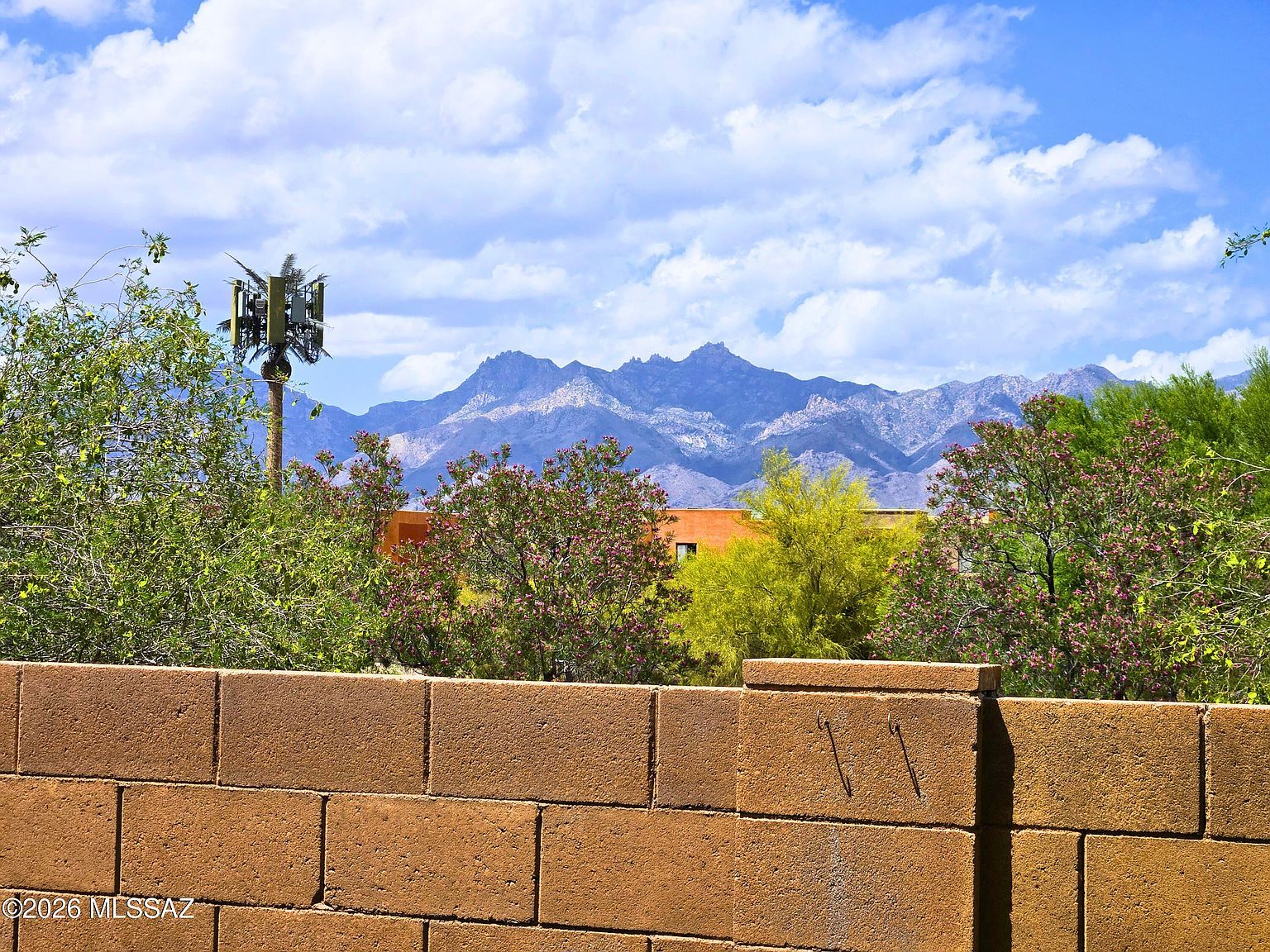 9579 E Corte Del Sol Brillante Tucson, AZ 85748 - Thumbnail 5