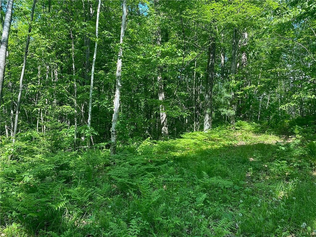 LOT 7 N Secluded Trl Hayward, WI 54843 - Thumbnail 5