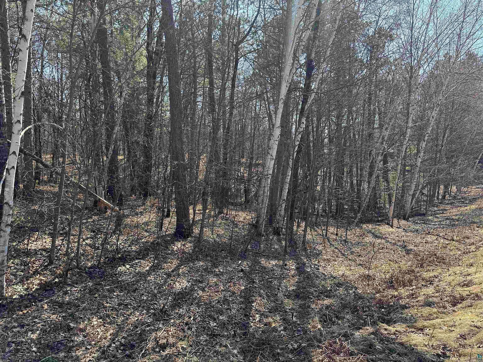 Spring Lake Rd Trego, WI 54888 - Thumbnail 5