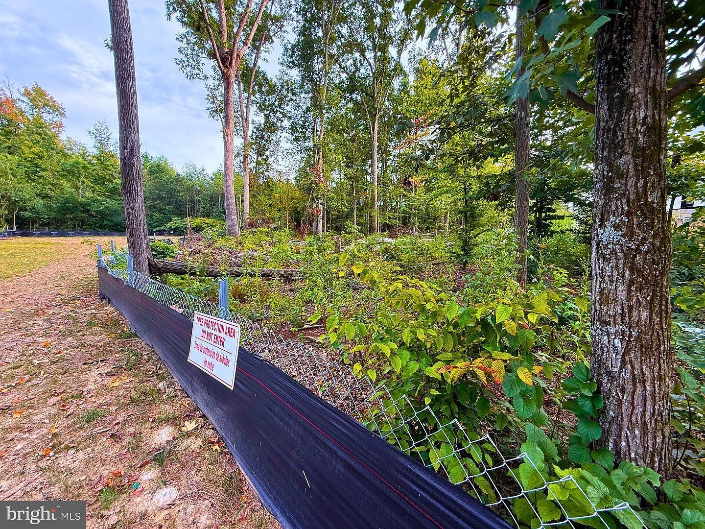 8811 Ox Rd Lorton, VA 22079 - Thumbnail 5