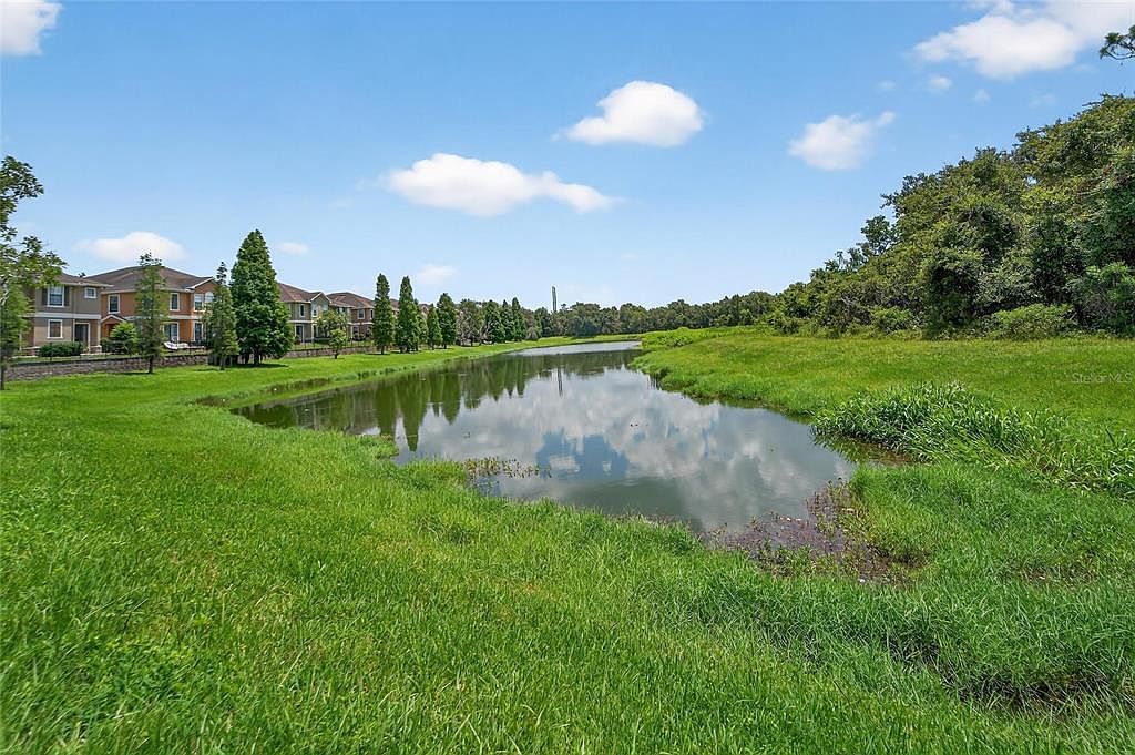 16431 Kingletridge Ave Lithia, FL 33547 - Thumbnail 5