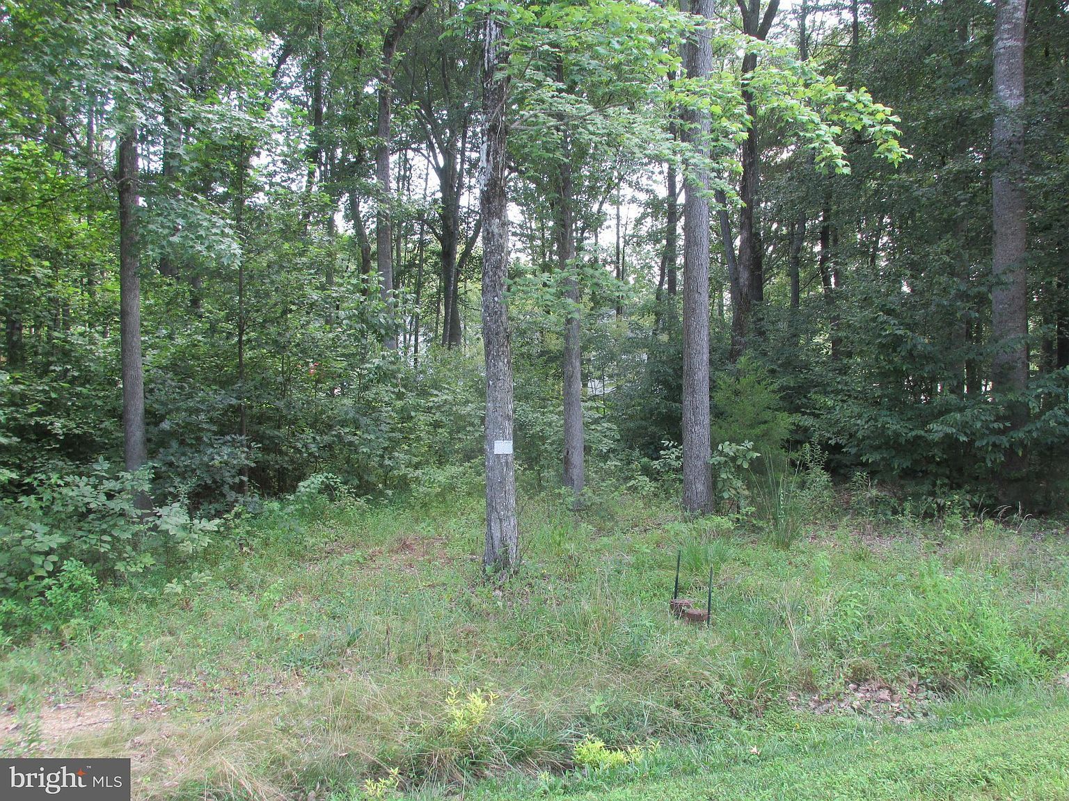 Blue Sky Way Bumpass, VA 23024 - Thumbnail 5