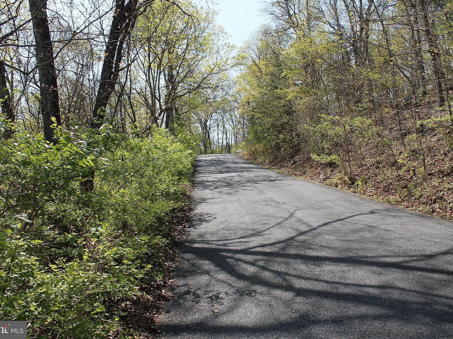 Hillandale Rd Front Royal, VA 22630 - Thumbnail 5