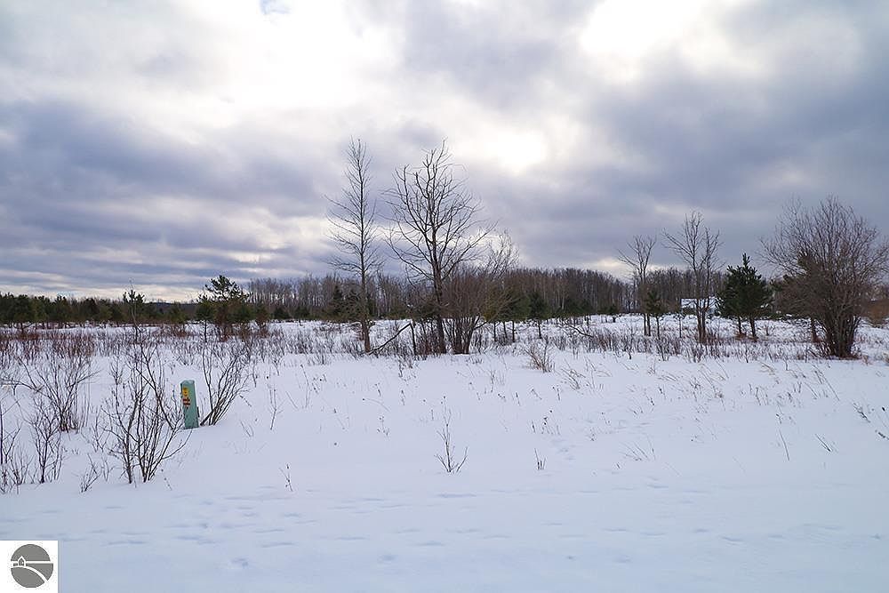 6436 Lora Bette Dr Alanson, MI 49706 - Thumbnail 5