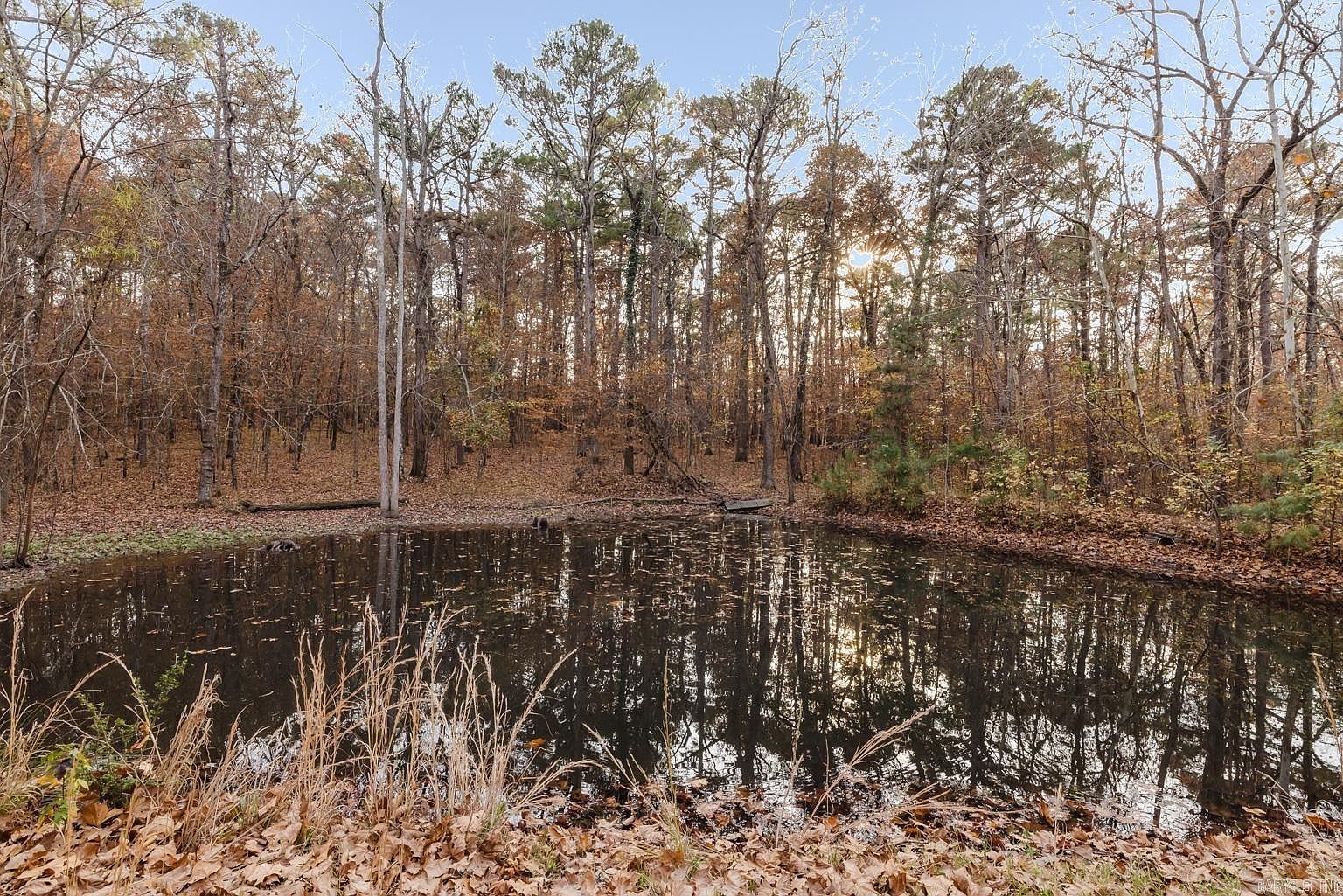 8718 Amber Ln Alexander, AR 72002 - Thumbnail 5