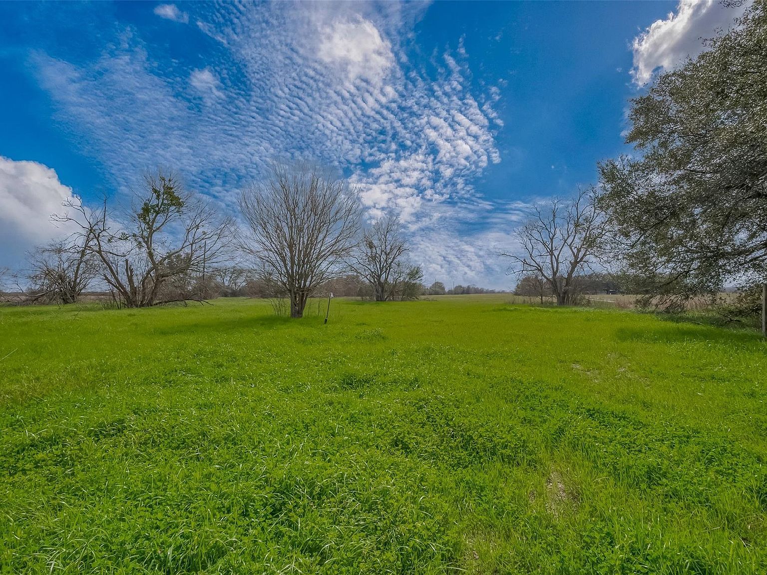 422 Fm 360 Rd Beasley, TX 77417 - Thumbnail 5