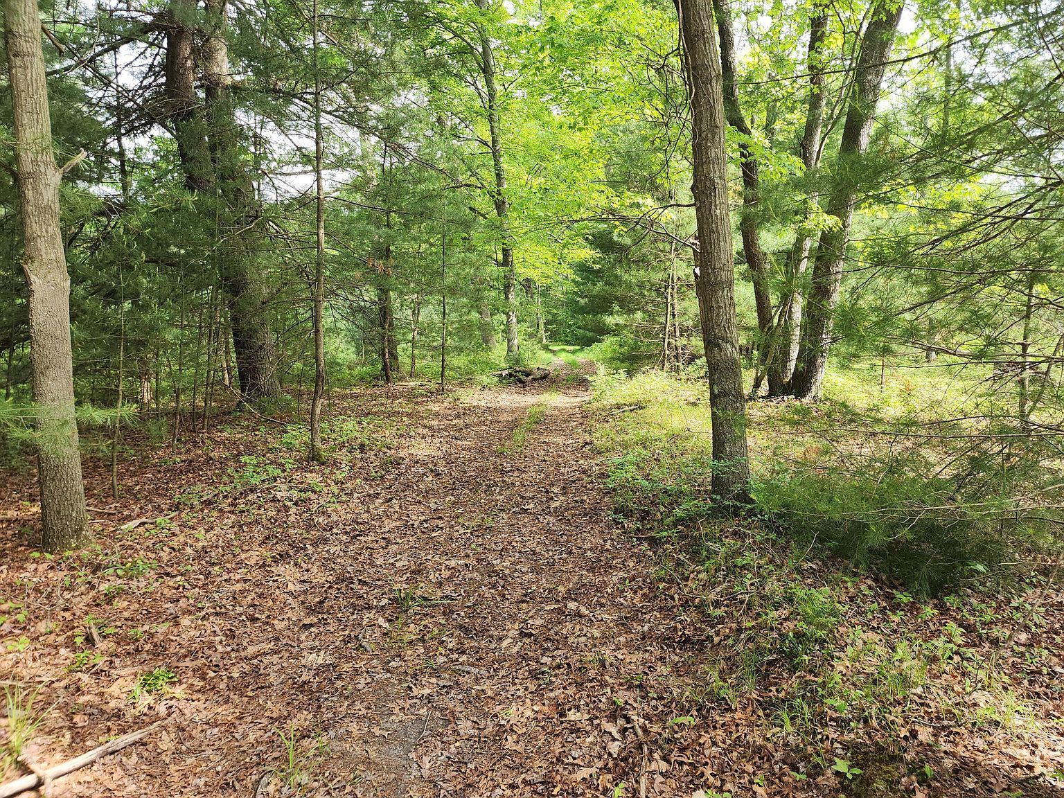 0 Cathers Run Rd Clarington, PA 15828 - Thumbnail 5