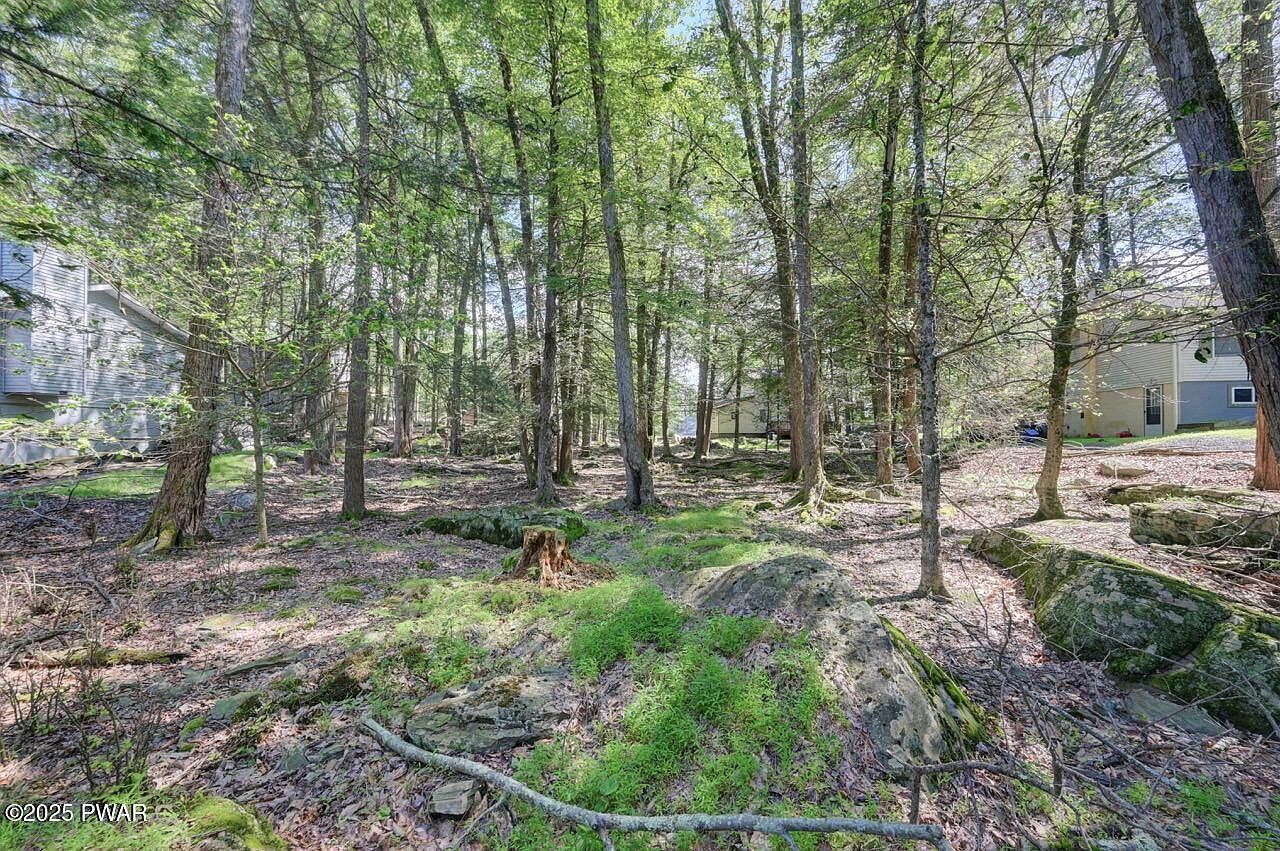 54 Wallenpaupack Dr Lake Ariel, PA 18436 - Thumbnail 5