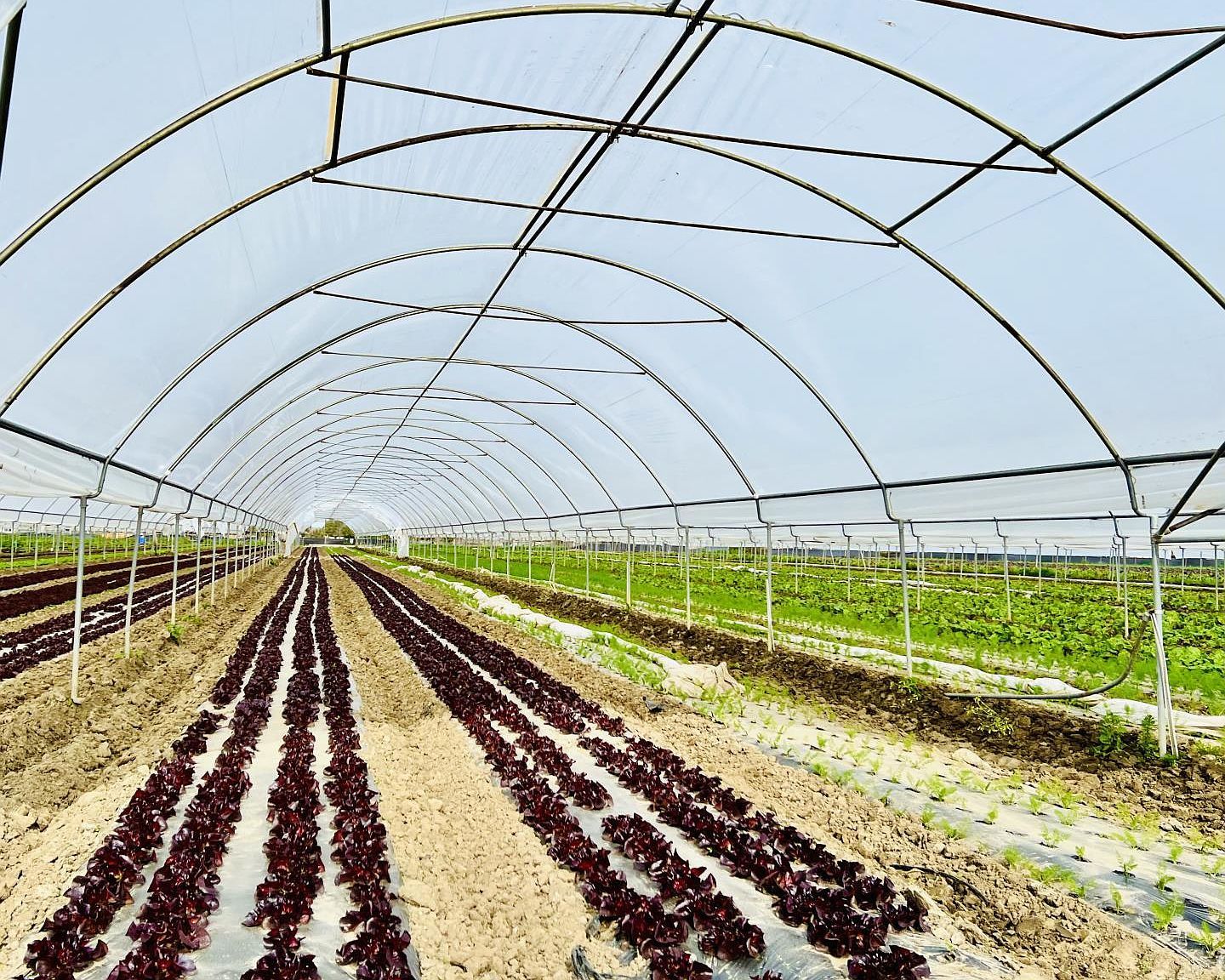 Riverside Hollister, CA 95023 - Thumbnail 5