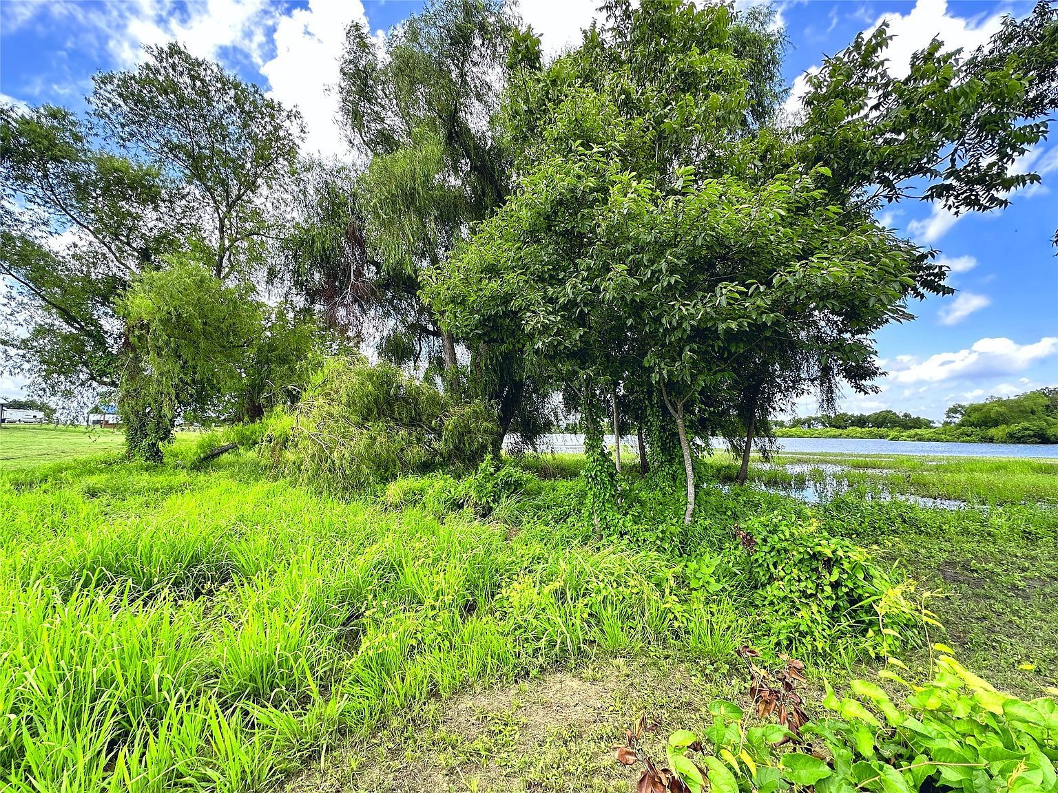 LOT 4 Waterfront Rd Kerens, TX 75144 - Thumbnail 5