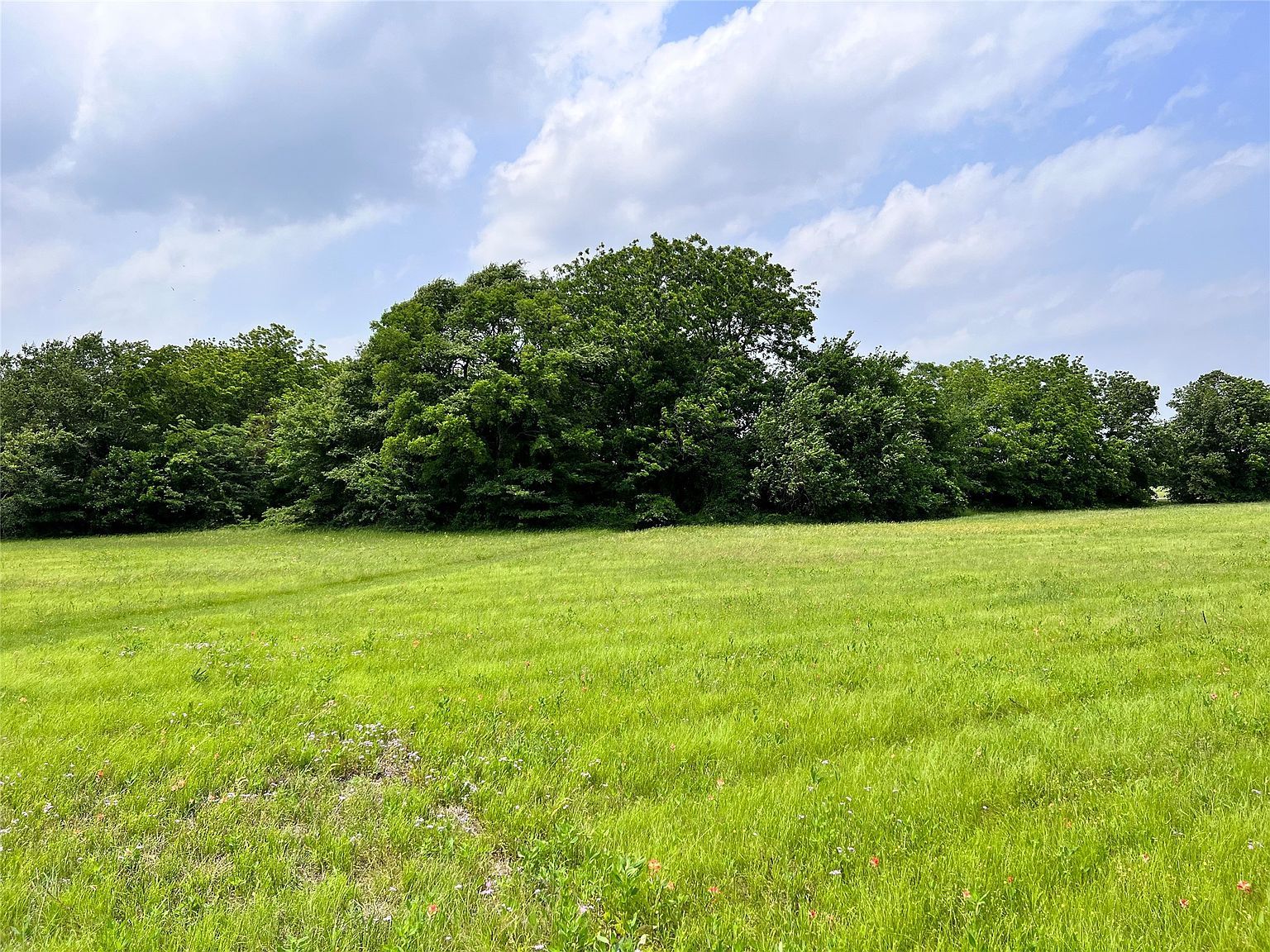 LOT 79 Clubhouse Dr Corsicana, TX 75109 - Thumbnail 5