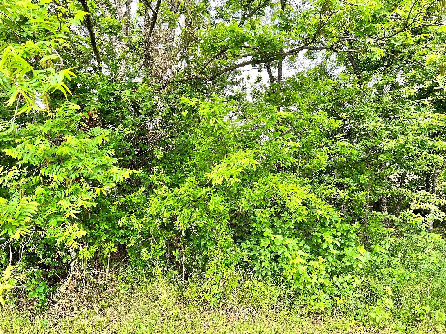 LOT 78 Clubhouse Dr Corsicana, TX 75109 - Thumbnail 5