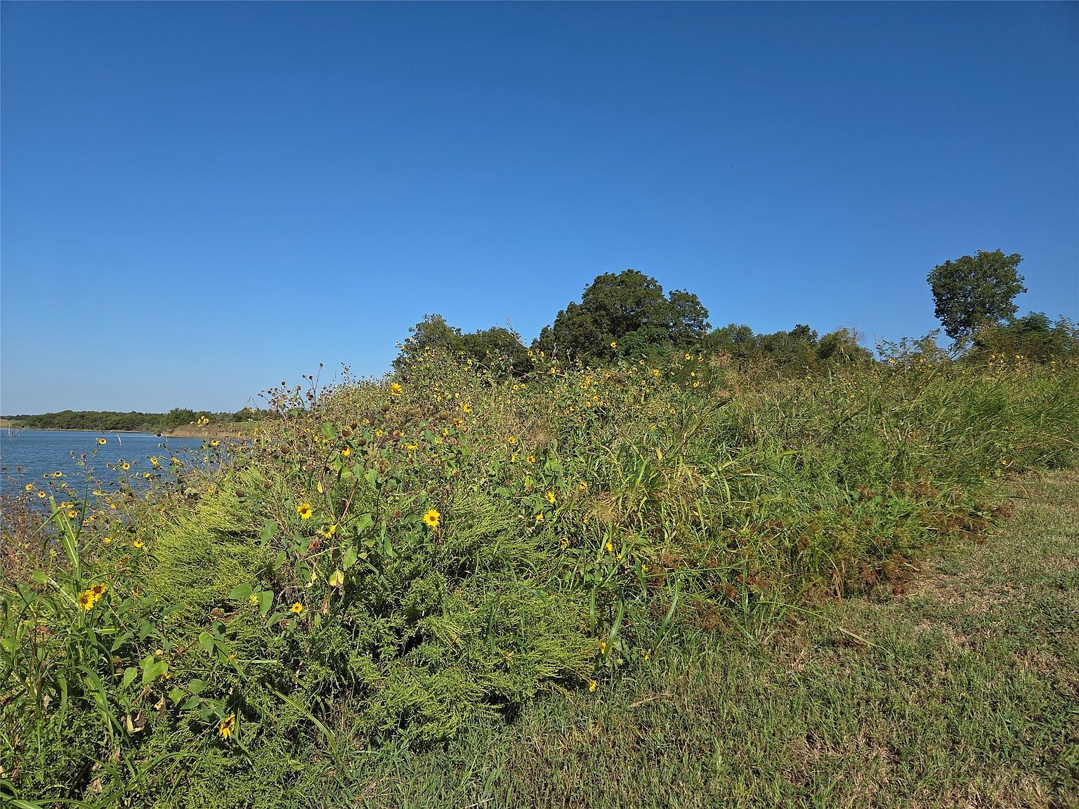 LOT 59 Bridgewater Blvd Kerens, TX 75144 - Thumbnail 5