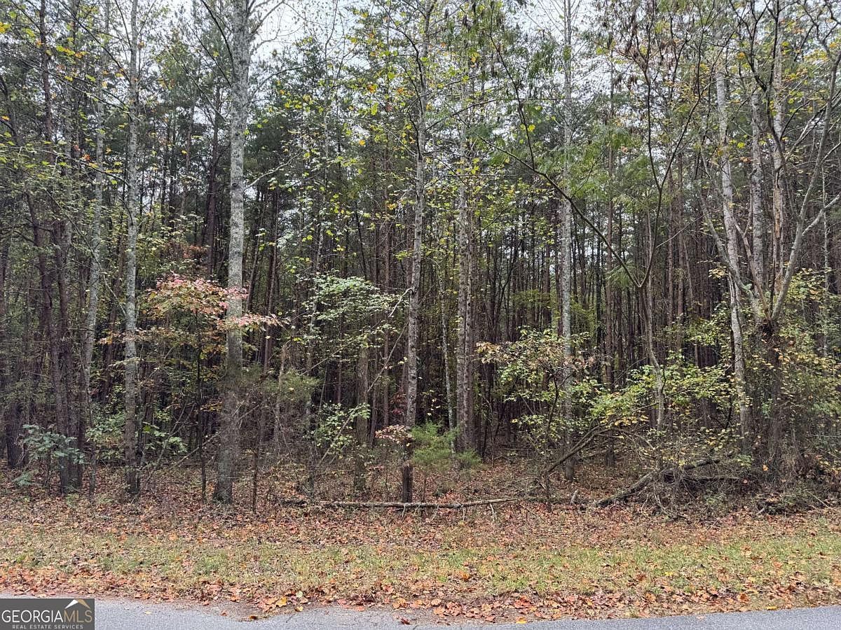 0 Cagle Rd Fairmount, GA 30139 - Thumbnail 5