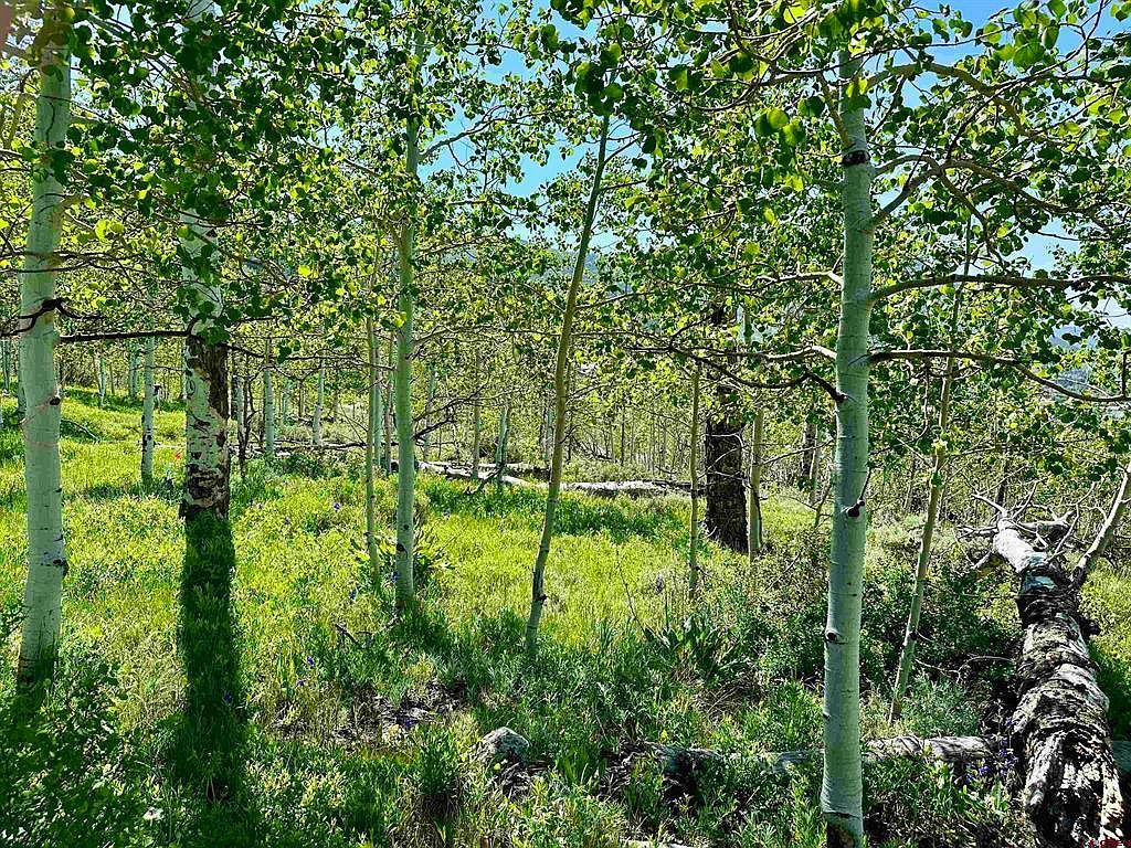 4482 Bryant Ave, Crested Butte, CO, 81224 - Thumbnail 5