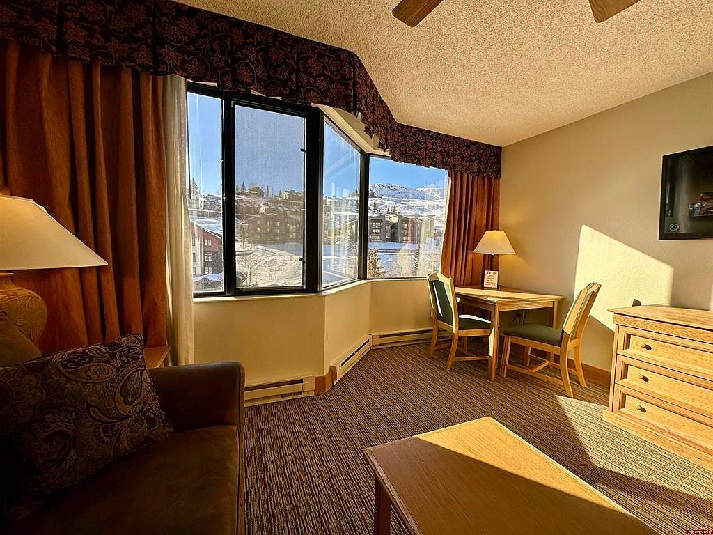 6 Emmons Rd #478 Crested Butte, CO 81225 - Thumbnail 5