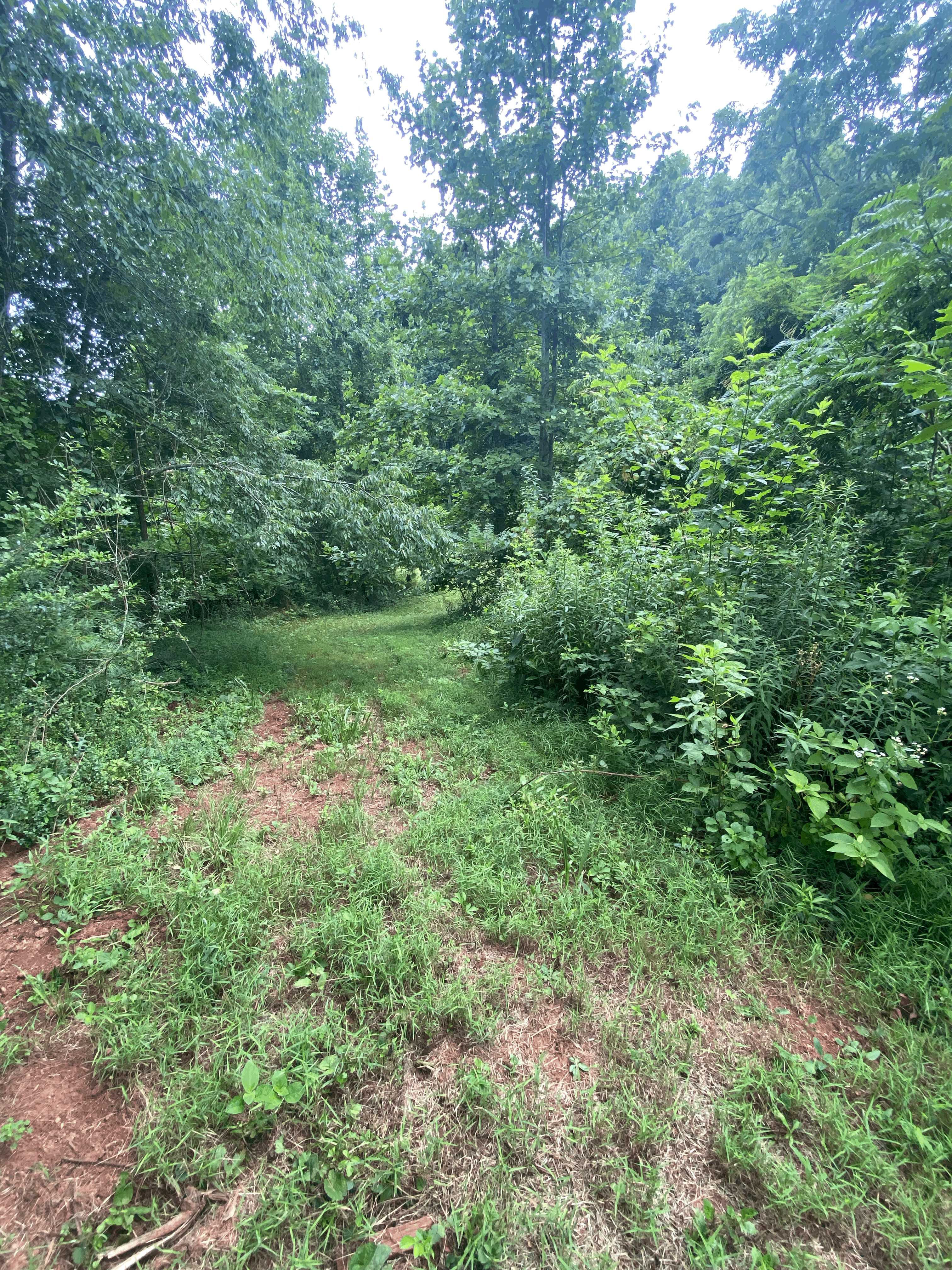 99999 Watsell Drive, Leicester, NC, USA, Leicester, NC, 28748 - Thumbnail 5