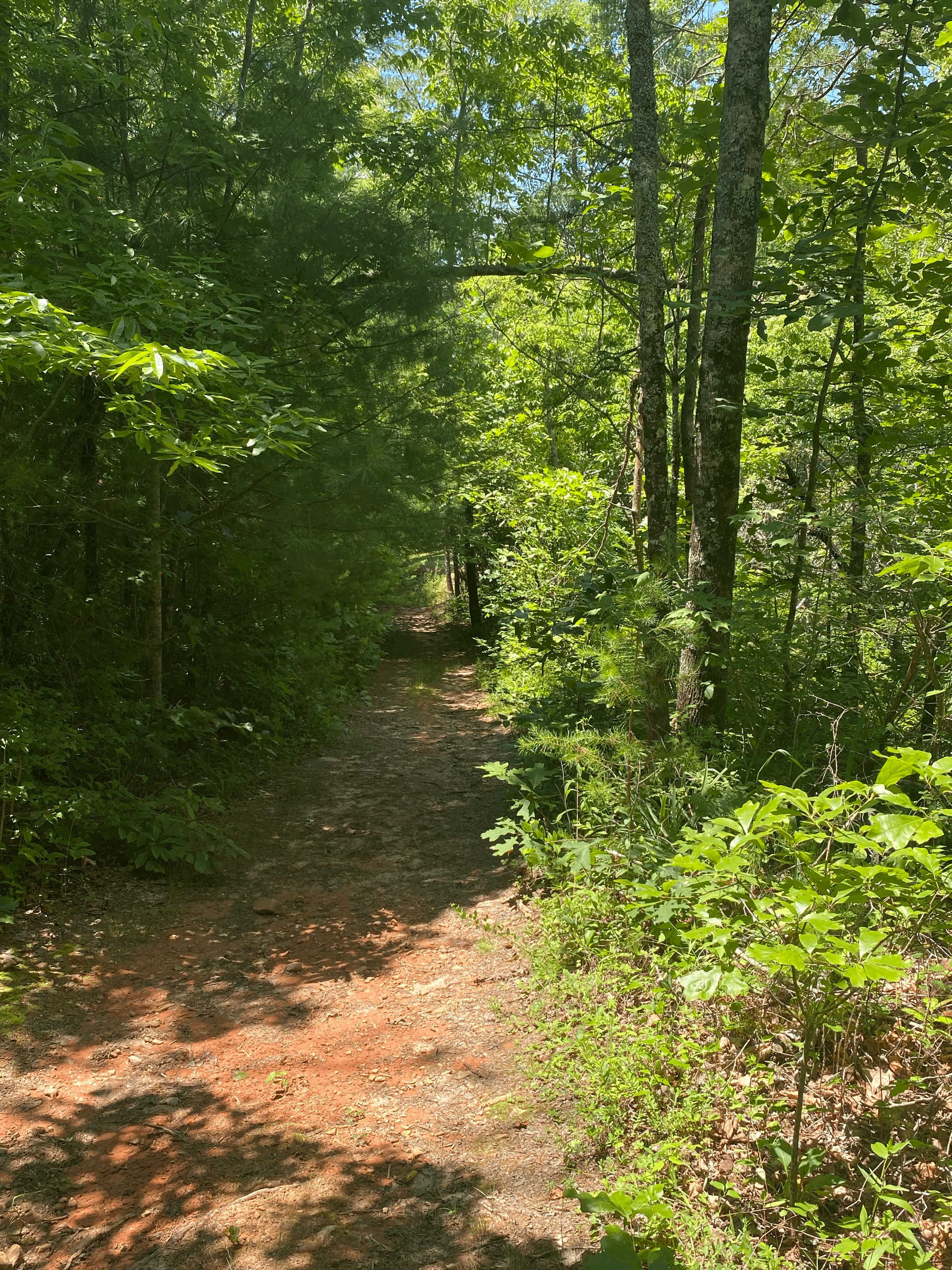 99999 Pounding Mill Road, Hayesville, NC, 28904 - Thumbnail 5