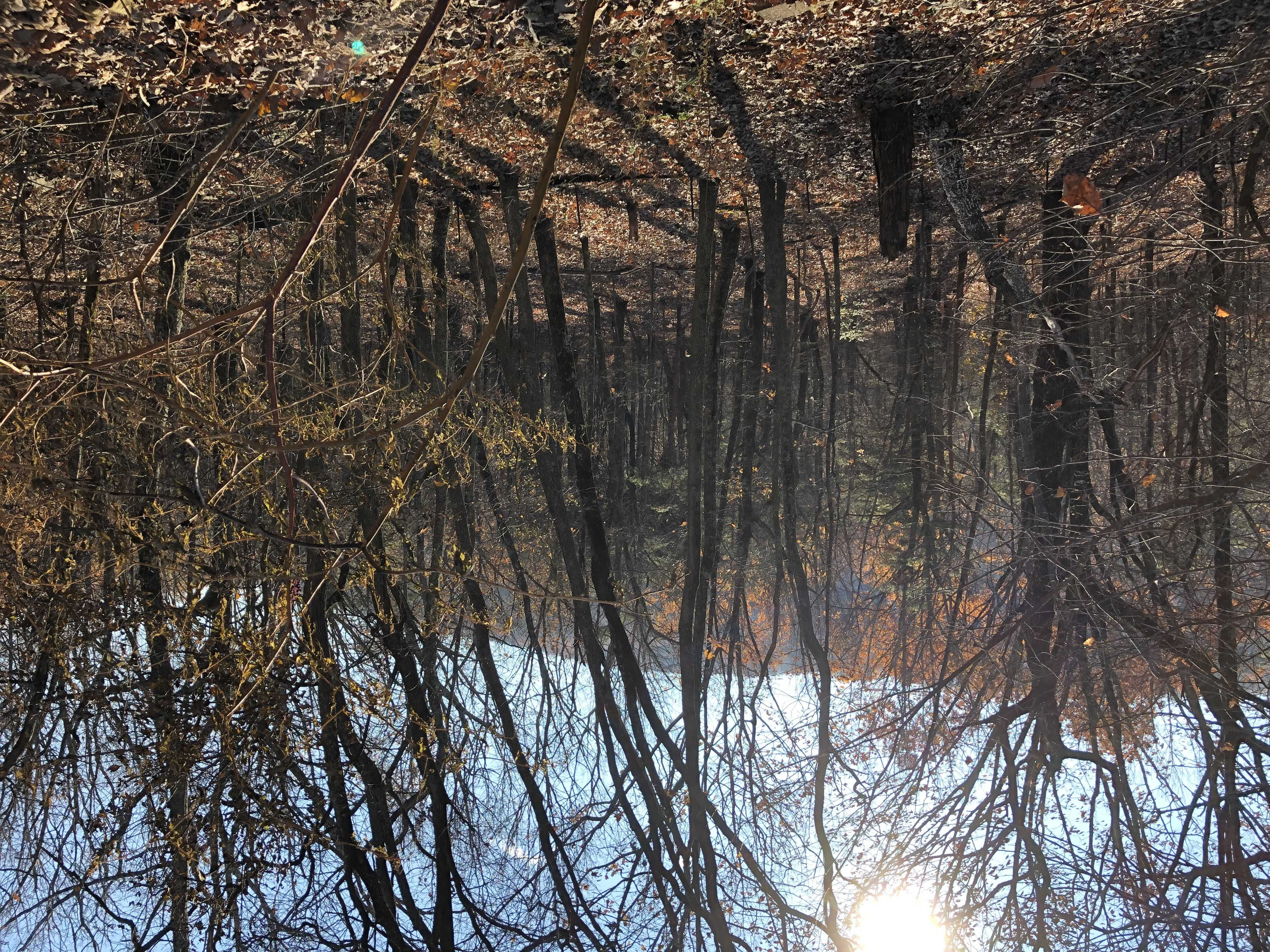 Sharp Mountain Parkway, Jasper, GA, USA, 30143 - Thumbnail 5