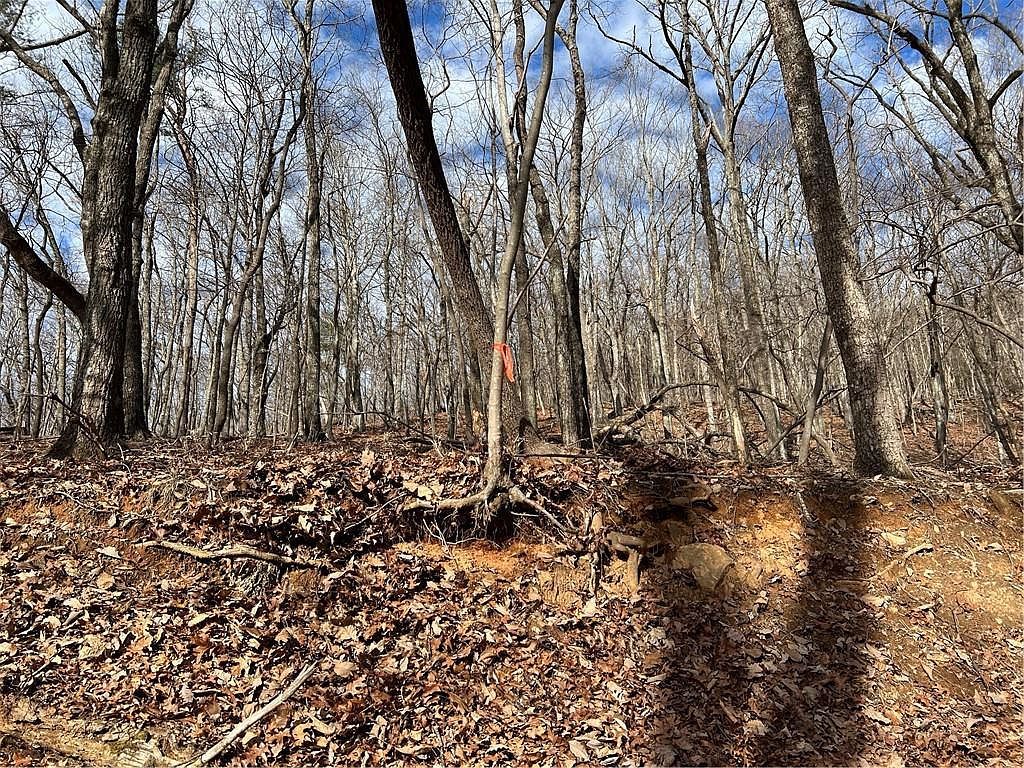 4528 Sassafras Mountain Trl #4528 Jasper, GA 30143 - Thumbnail 5