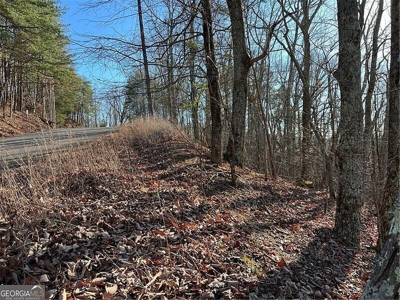 197 Stirratt Rd Ranger, GA 30734 - Thumbnail 5