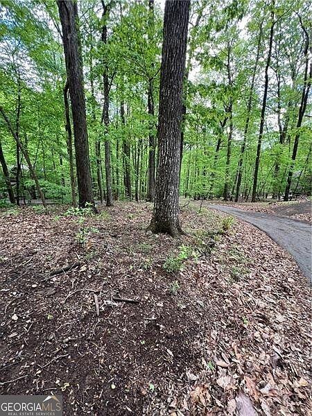 387 Windflower Dr Jasper, GA 30143 - Thumbnail 5