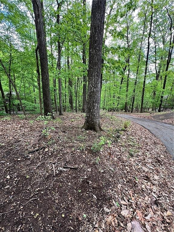 387 Windflower Dr #6232 Jasper, GA 30143 - Thumbnail 5