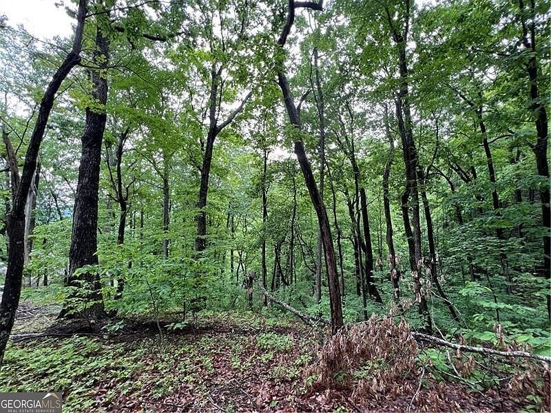 245 Sassafras Mountain Trl Jasper, GA 30143 - Thumbnail 5