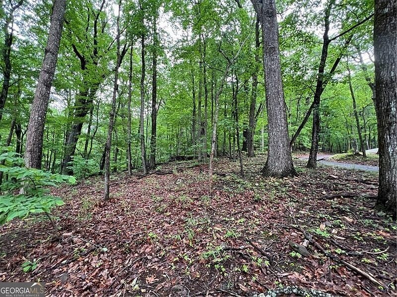 0 Sassafras Ct Jasper, GA 30143 - Thumbnail 5