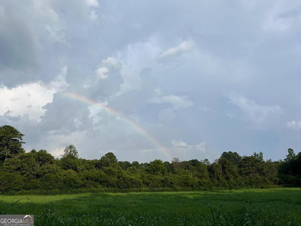 0 Highway 136 Rd W Talking Rock, GA 30175 - Thumbnail 5