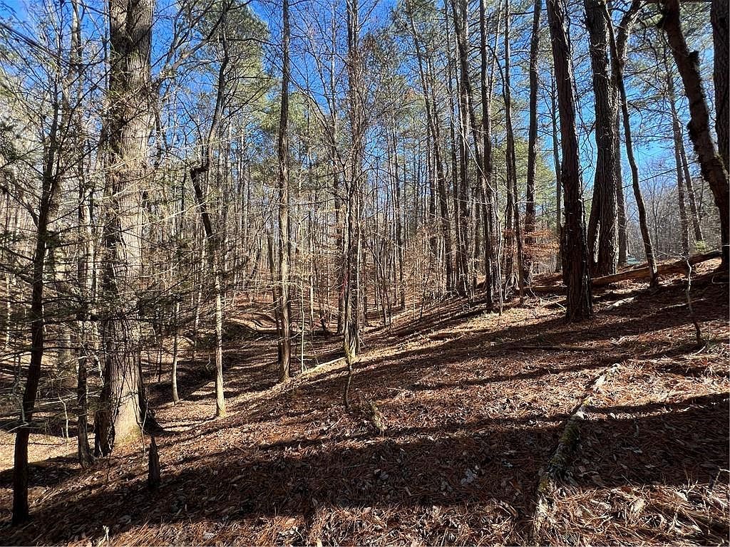 18 Lily Ln #321 Ellijay, GA 30540 - Thumbnail 5