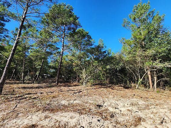 Kelly Pl Defuniak Springs, FL 32433 - Thumbnail 5