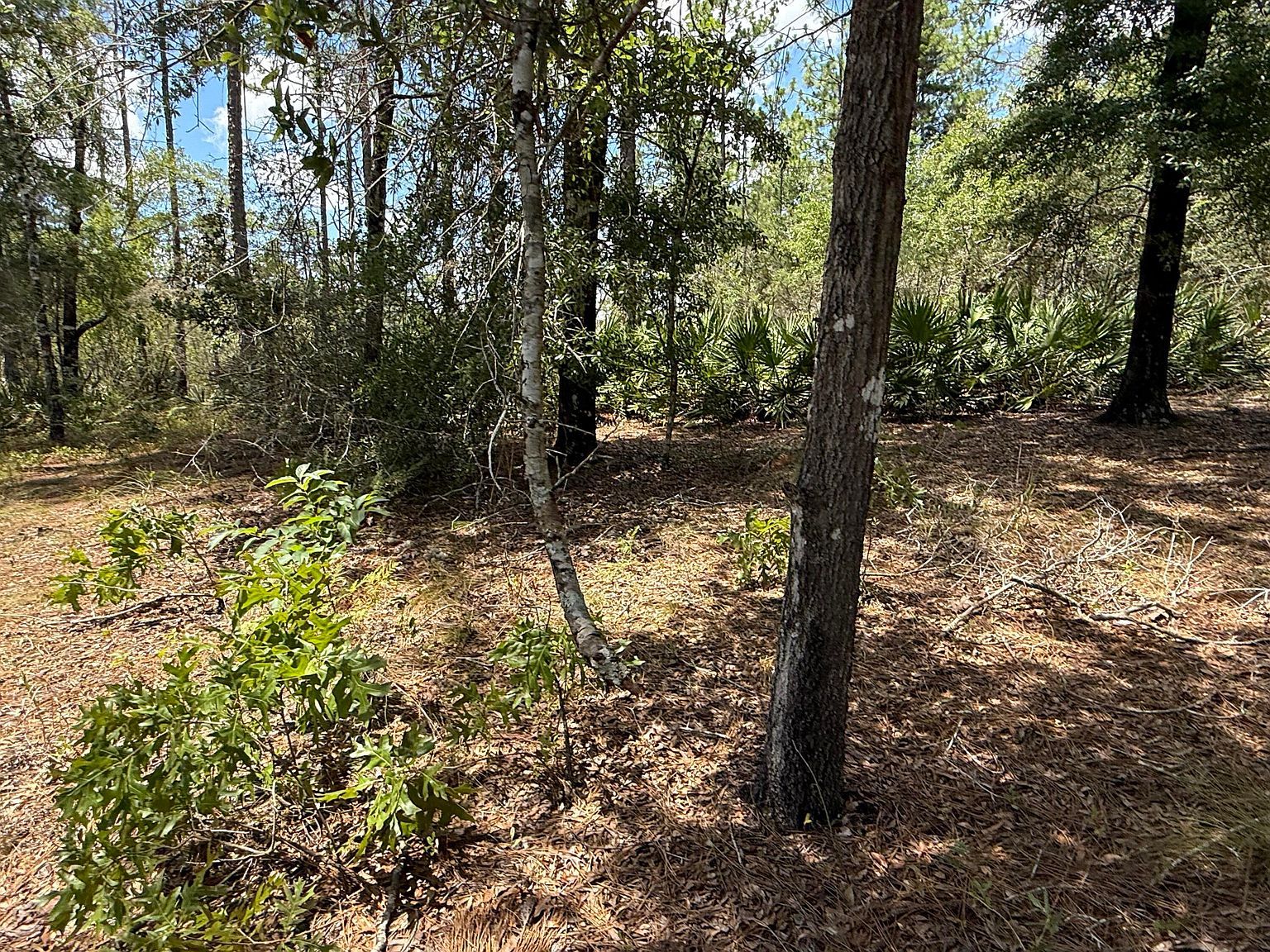LOT 39 Clearwater Dr Defuniak Springs, FL 32433 - Thumbnail 5