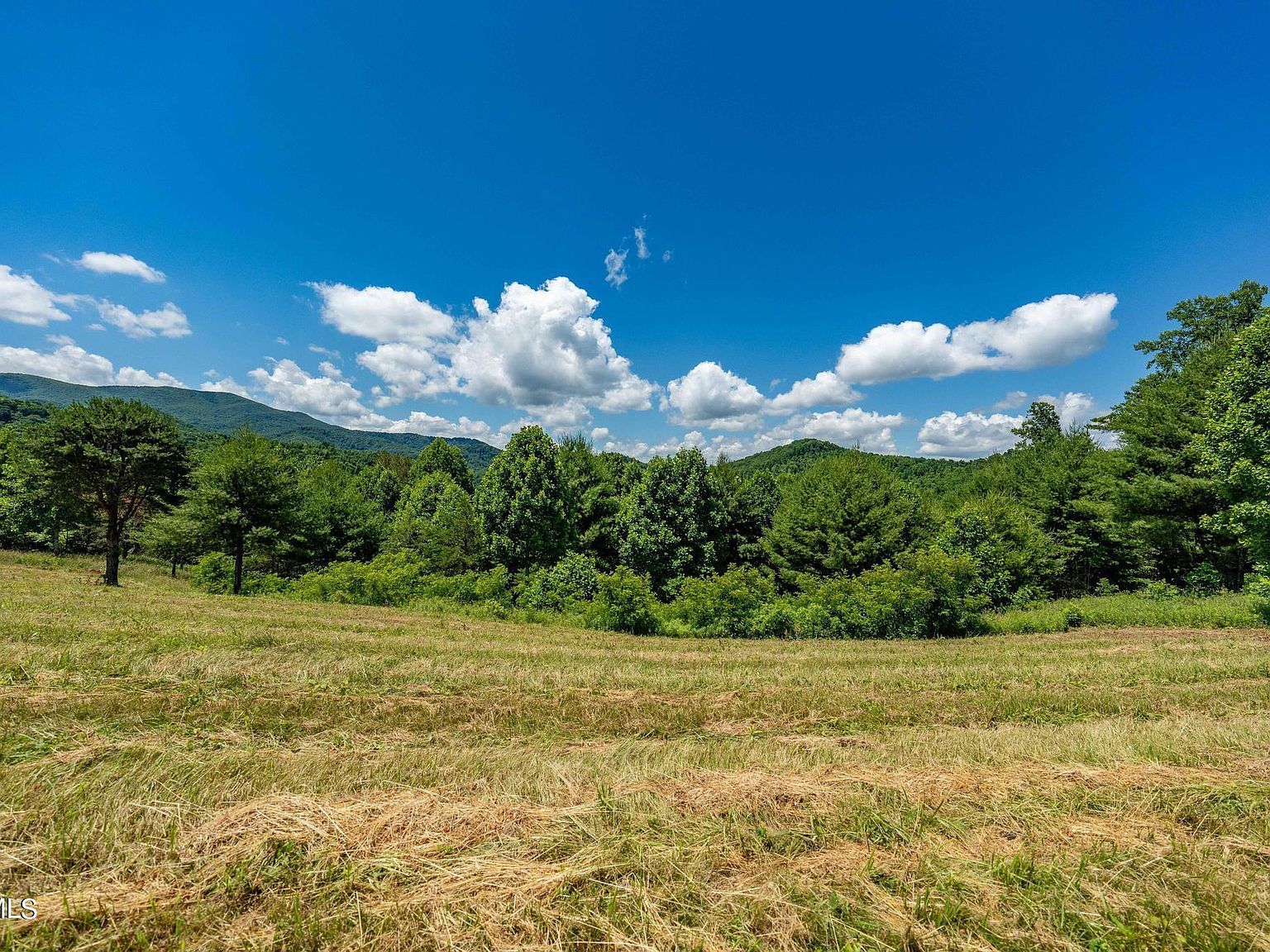 LOT 45 Eagle Ridge Pkwy Butler, TN 37640 - Thumbnail 5