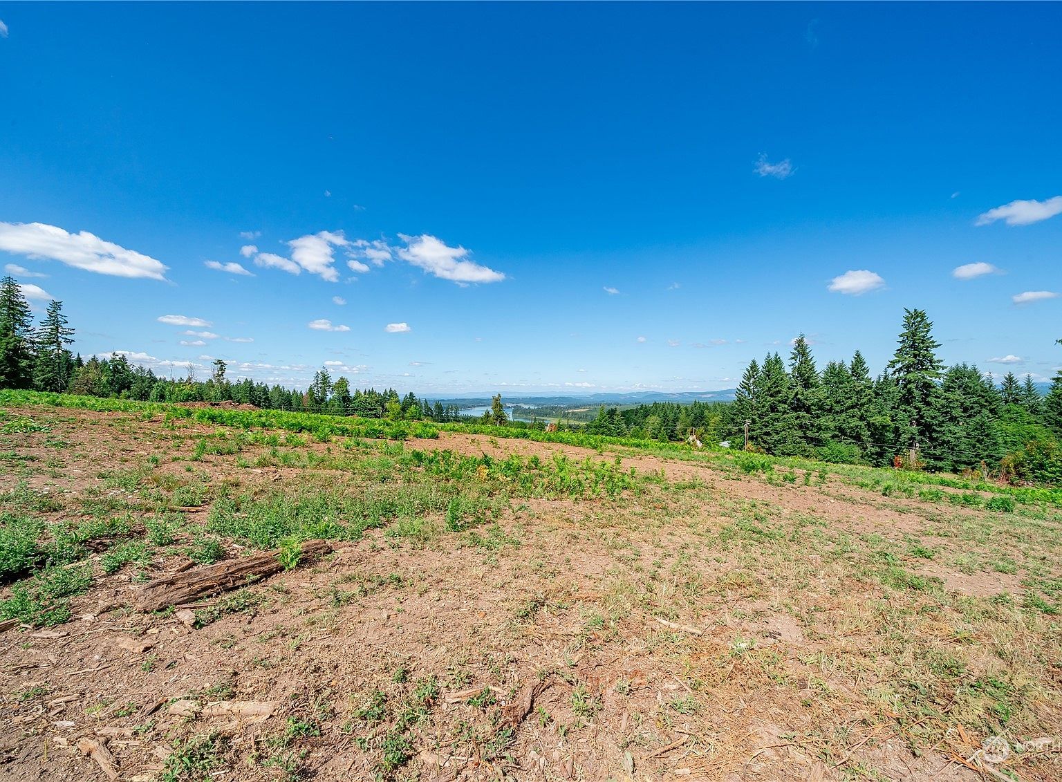 0 S Silver Lake Rd #6 Castle Rock, WA 98611 - Thumbnail 5