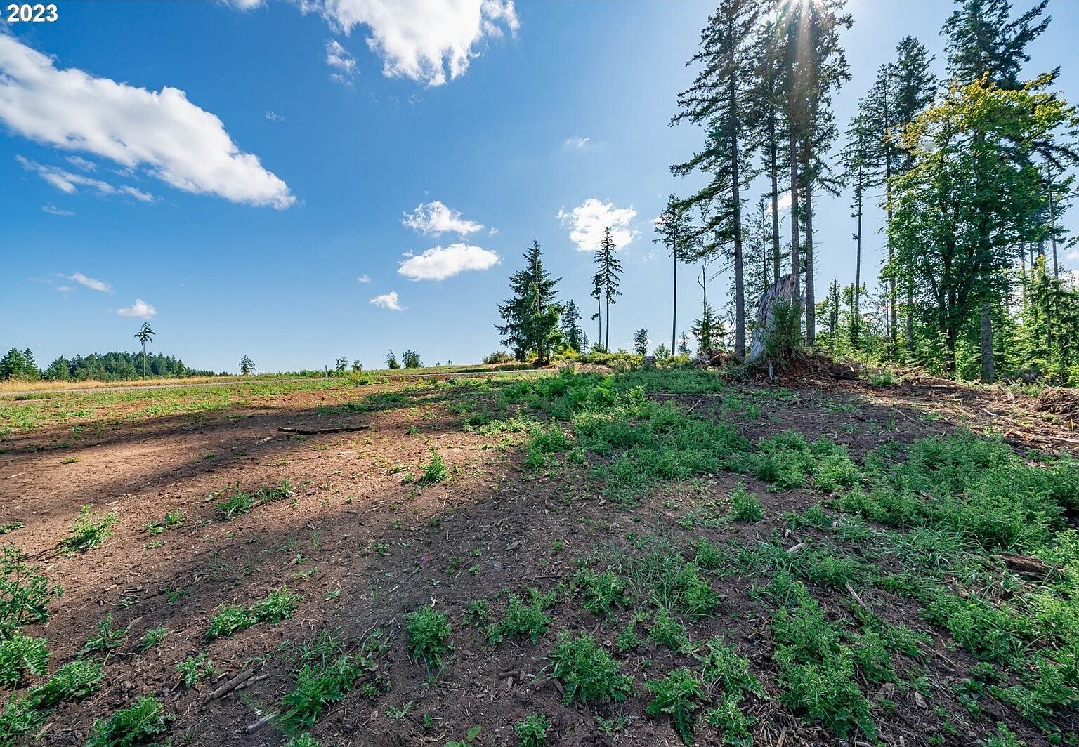 0 Silver Lake Rd UNIT 1 Castle Rock, WA 98611 - Thumbnail 5